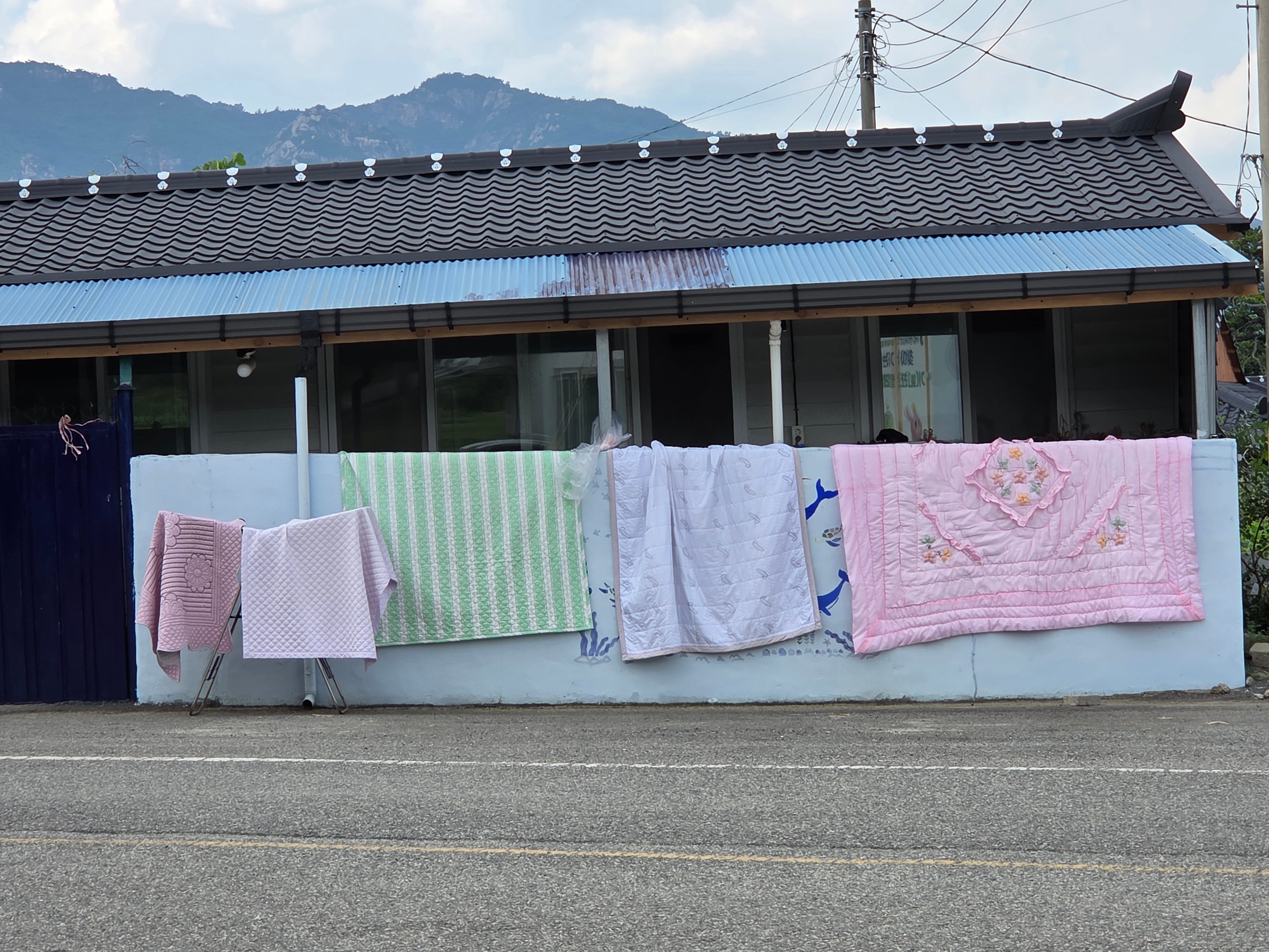 활동사진 5